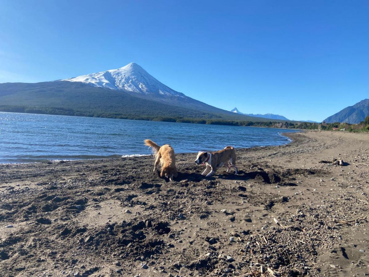 La Colmena Eco Lodge Ensenada Zewnętrze zdjęcie